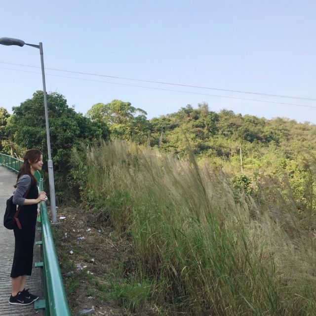 /周未拍拖好去處🏞銀礦灣瀑布/