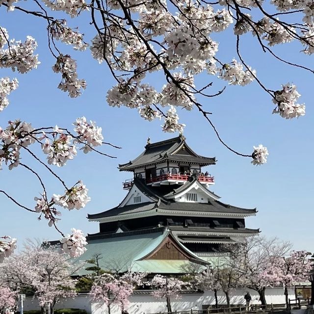 愛知県　清洲城