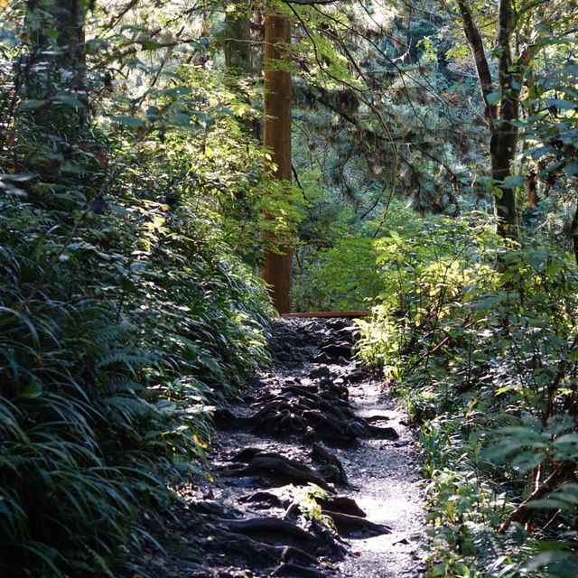 【東京・八王子】秋の高尾山