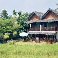 ที่พักวิวทุ่งนา