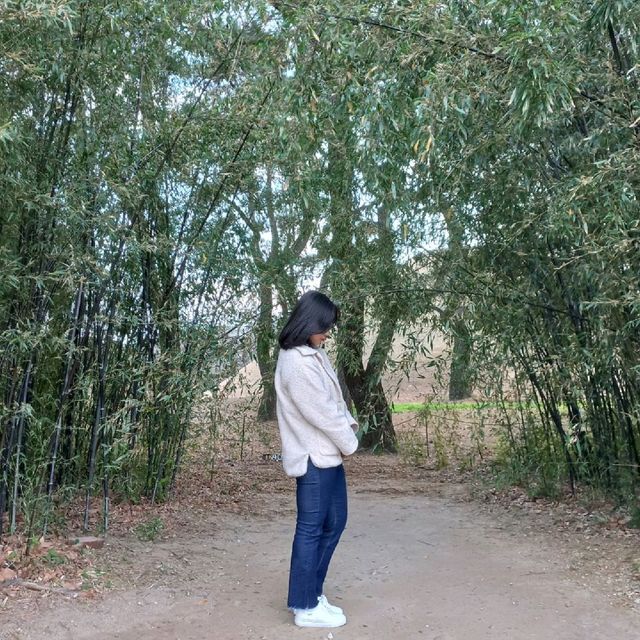 <나홀로 경주여행> 너무 가보고 싶었던 대릉원&첨성대🙊
