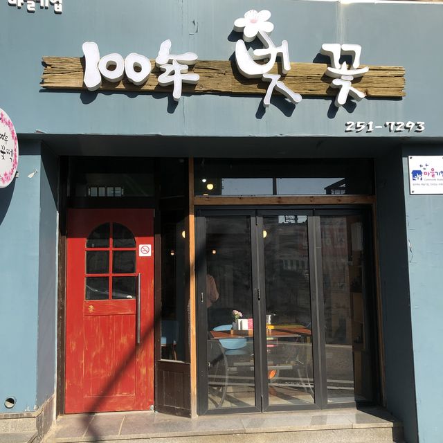 벚꽃이 가득, 100년 벚꽃