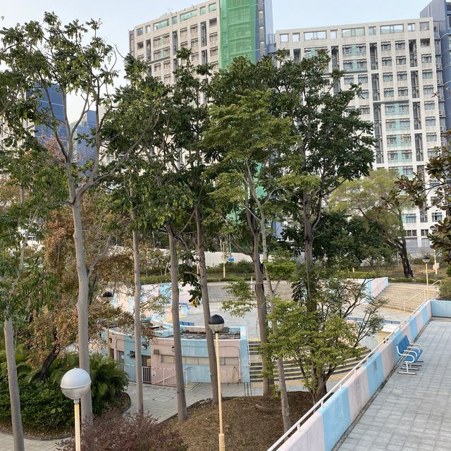石硤尾公園-粉紅與粉藍色相映而成