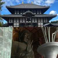 【東大寺】奈良の大仏様✨🦌