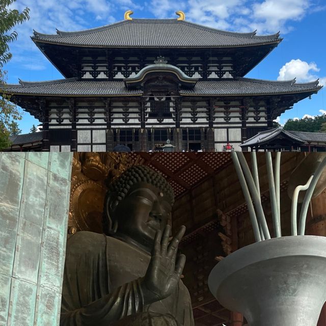 【東大寺】奈良の大仏様✨🦌