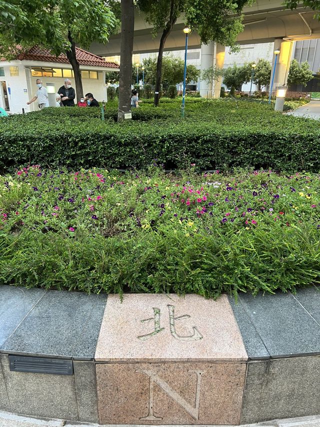 🌸荃灣公園賞花輕鬆遊🤗🌴🌳