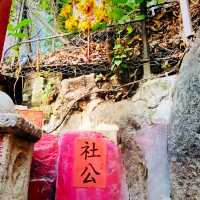 灣仔古蹟遊｜入廟拜神