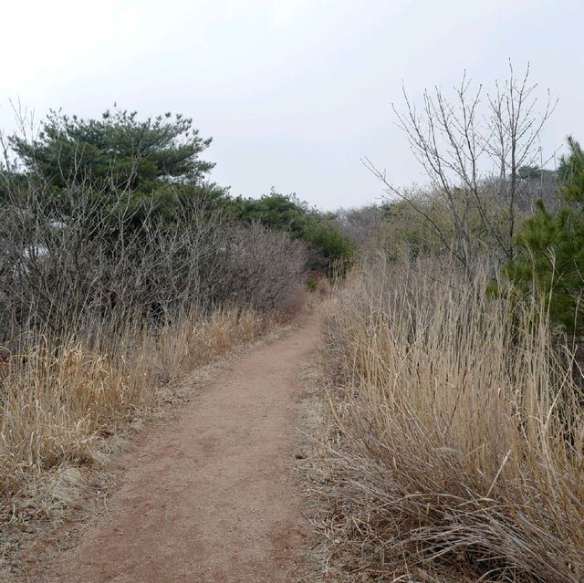 양평 유명산 등산 