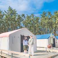 여름엔 자리가 없어서 못 간다는 캠핑장🏕