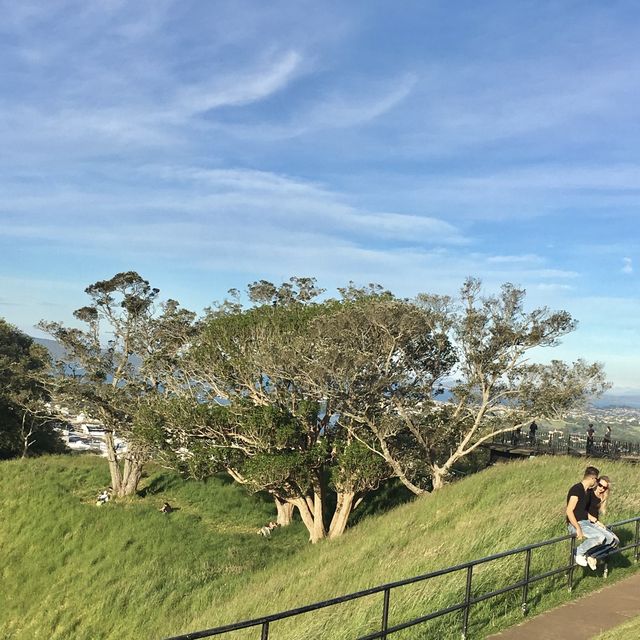 뉴질랜드 도심🇳🇿에서 찾는 멋진 트레킹 코스, 에덴 산⛰