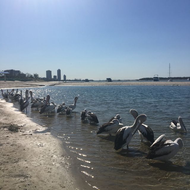 全世界數一數二的沙灘