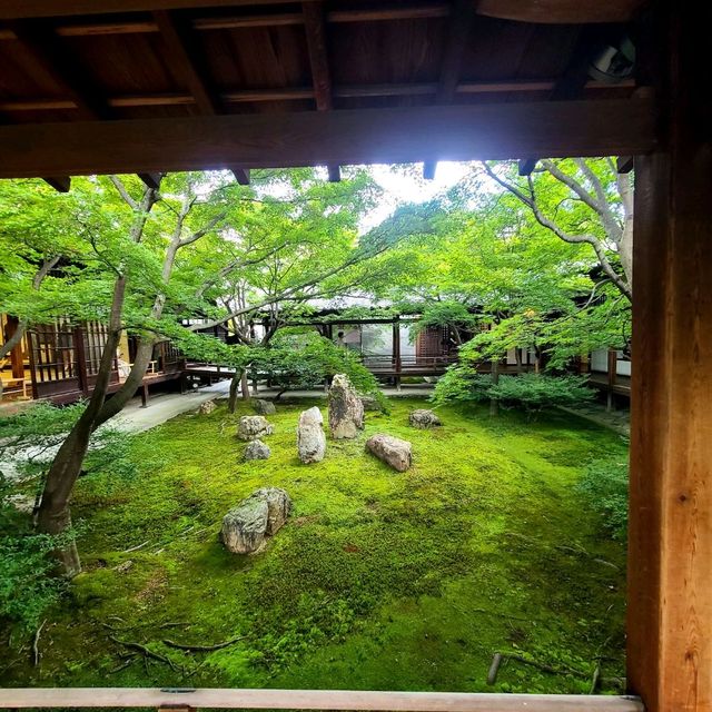 永い年月を経てタイムスリップした空間へ【潮音庭（ちょうおんてい）】✨