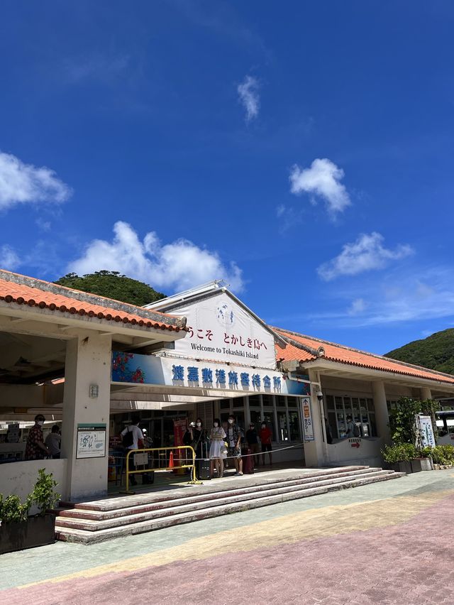 沖縄 渡嘉敷島🌴