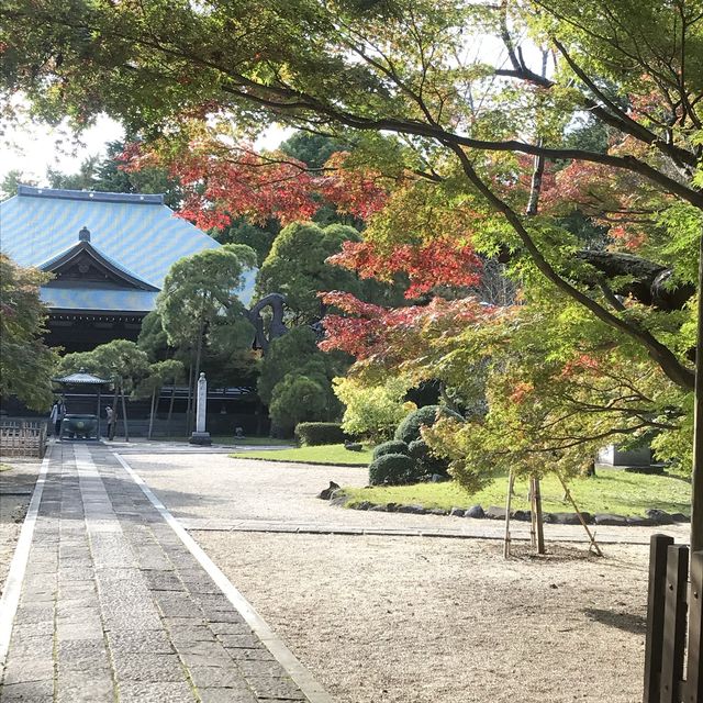 ชมใบไม้เปลี่ยนสีที่วัดtozenji🍁🍁🍁