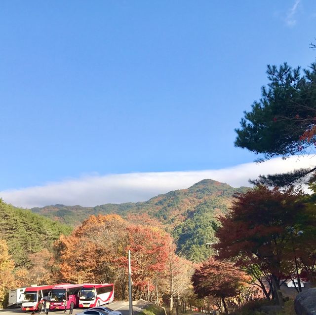 경남 합천 해인사 단풍놀이🍁🍂 가야산 소리길