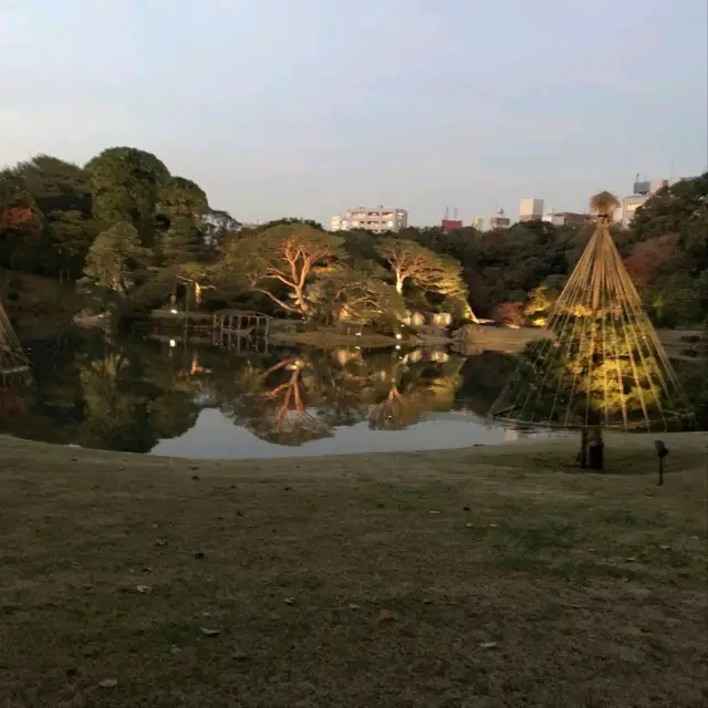 Rikugien Garden Autumn Illumination 