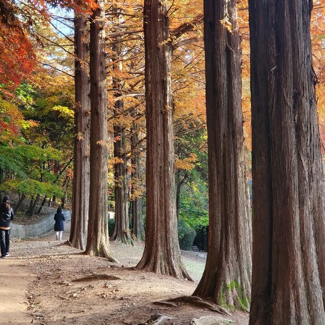 인천 여행, 단풍부터 제대로 즐기기
