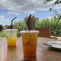 Chapulin food & cafe