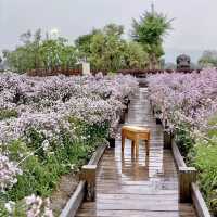 ยกสวนดอกไม้เมืองเหนือ มาไว้ที่ตรัง
