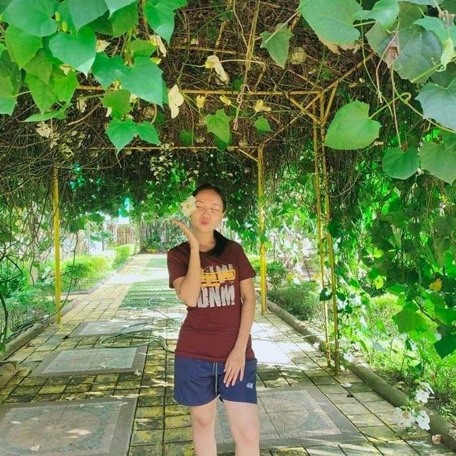 Sunshine Farm 🌻