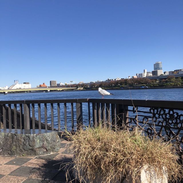【隅田川】春のウララでなくても…zzz