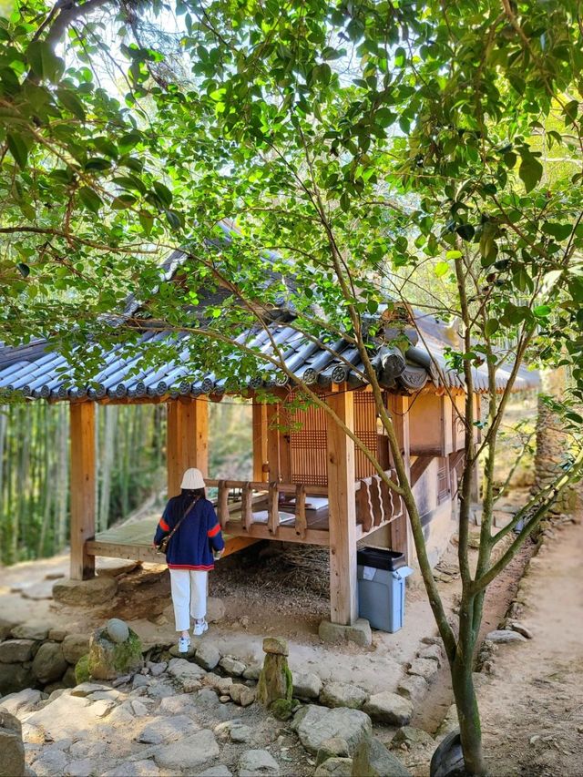 윤스테이 촬영지 구례 쌍산재! 한옥이 이렇게나 예뻤네🤎