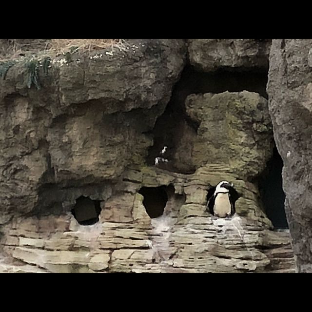 พามาเที่ยว New York Aquarium ค่ะ