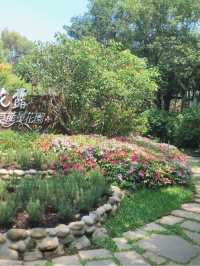 卓蘭山林間的花卉園區 花露農場 Flower Home