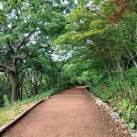 제주 한라수목원