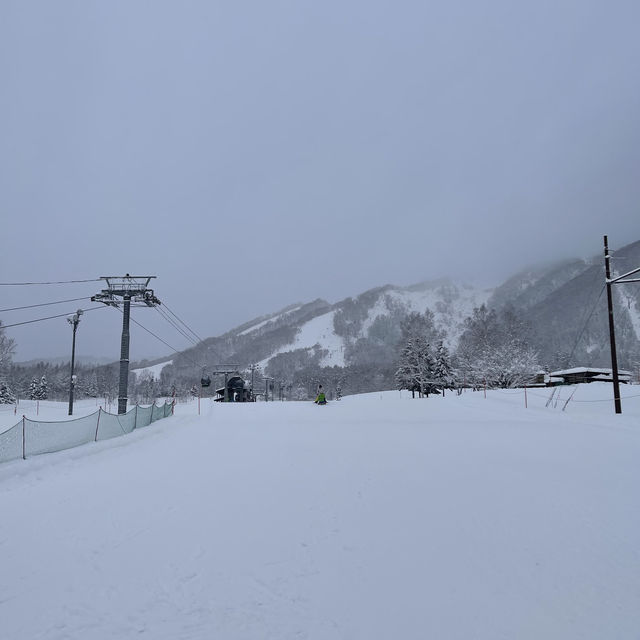 Niseko - The snowiest place on Earth!