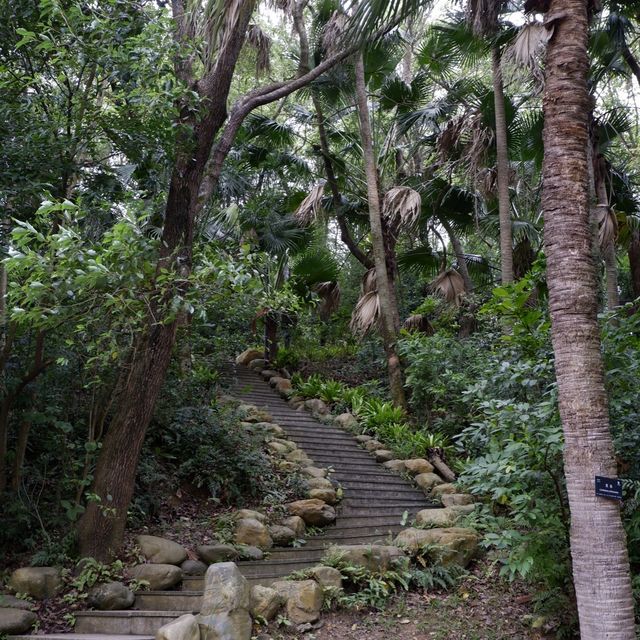 深圳至抵玩植物園