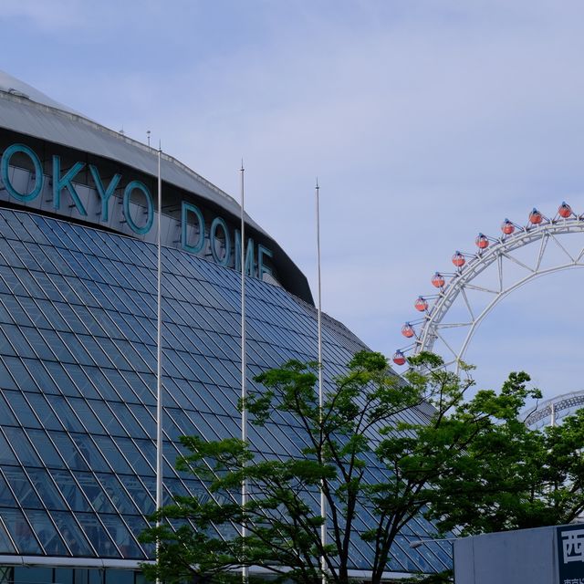東京ドーム