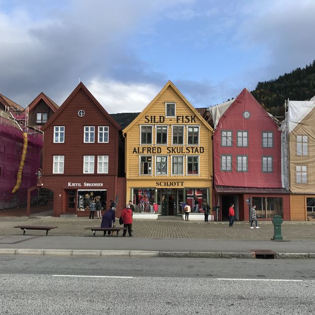 Exploring Bergen, Norway- heart of the fjords