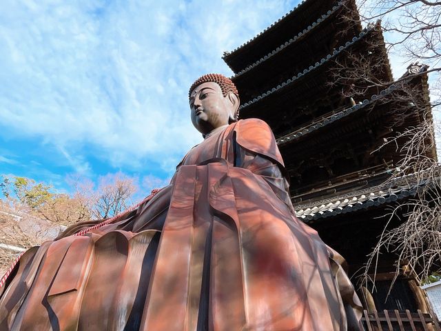 名古屋【八事山 興正寺】