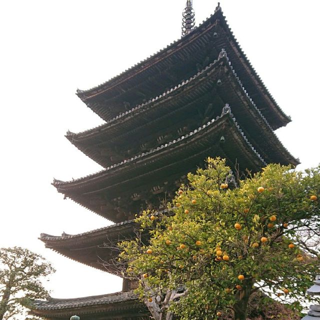 京都の名所 八坂の塔！