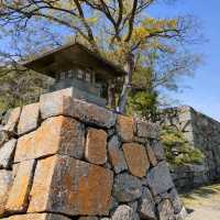 【兵庫 明石城跡】 美しすぎる城跡💗💗💗🌸