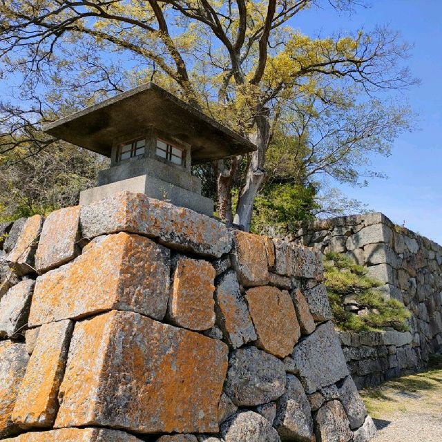 【兵庫 明石城跡】 美しすぎる城跡💗💗💗🌸