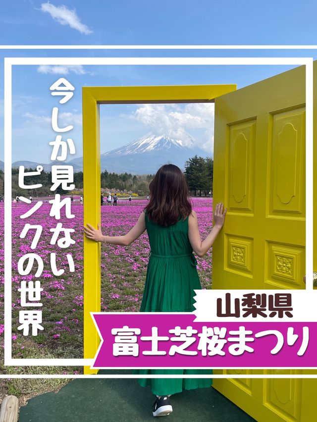 今しか見れないピンクの世界【山梨】