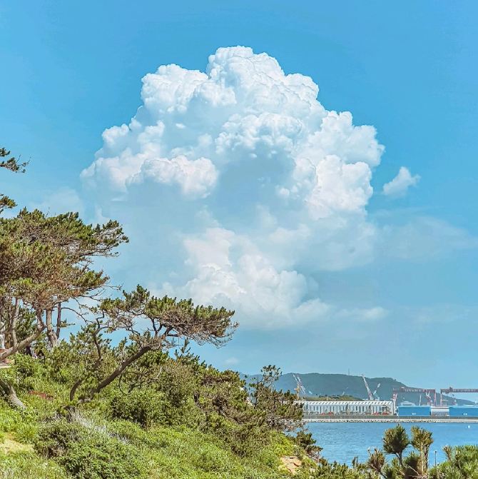 100년 넘은 등대 보러갈래? | 트립닷컴 울산 트래블로그