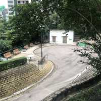 九龍市中心嘅行山徑