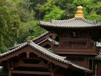 志蓮淨院，南蓮寺略貌