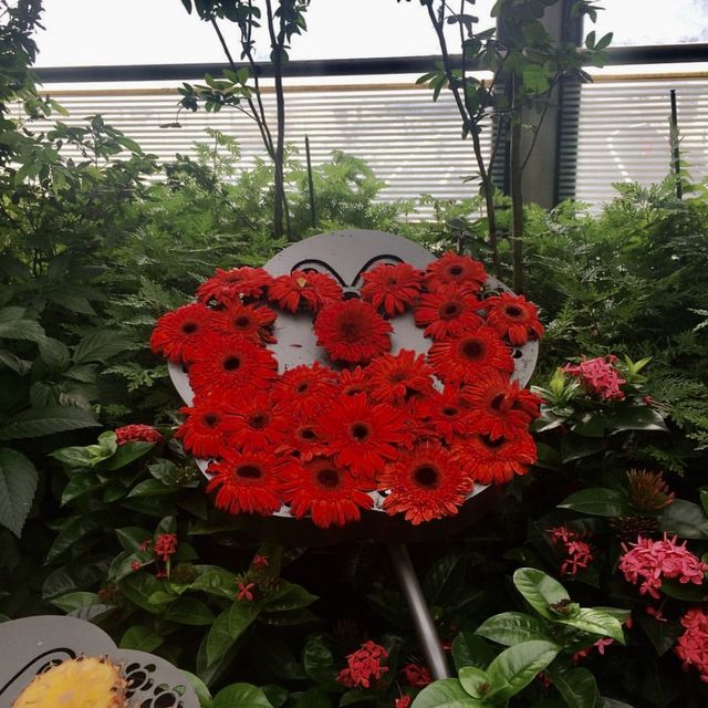 Watch The Butterflies Fly Before Taking Your Flight 
