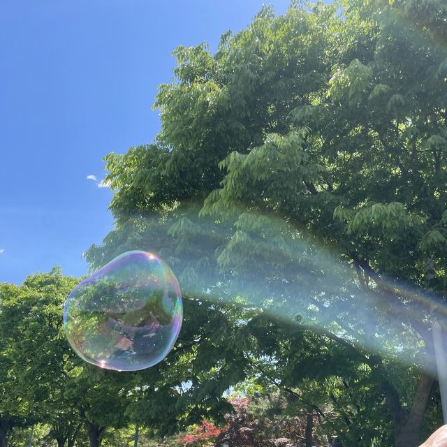 피크닉 하기 좋은 곳💙미사리조정경기장