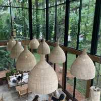 Organic Coffee Cafe in Bangkok