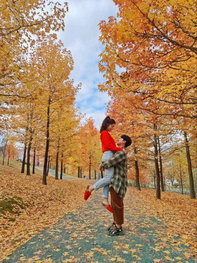 경남 거창 도시숲죽전공원, 분설담은 단풍놀이 숨겨진 명소🍂🍁