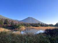 【青森】穴場の紅葉スポット🍁睡蓮沼