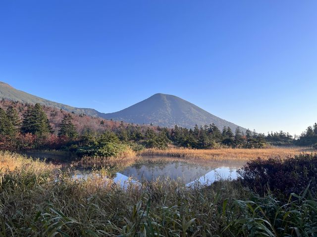 【青森】穴場の紅葉スポット🍁睡蓮沼