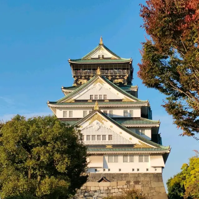 【大阪 中央区】輝く大阪城🏯✨🏯✨