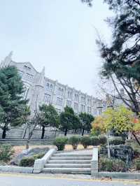 韓國最高顏值的大學