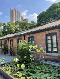 香港 | 饒宗頤慢活一日遊